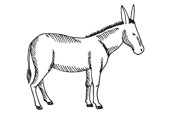Donkey Sketch: A Hand-Drawn Farm Animal Font for Authentic Projects