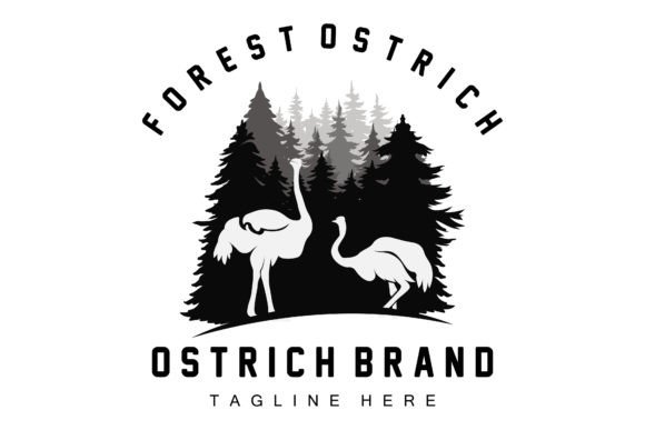 Ostrich Logo Design, Desert Animal: A Designer's Guide